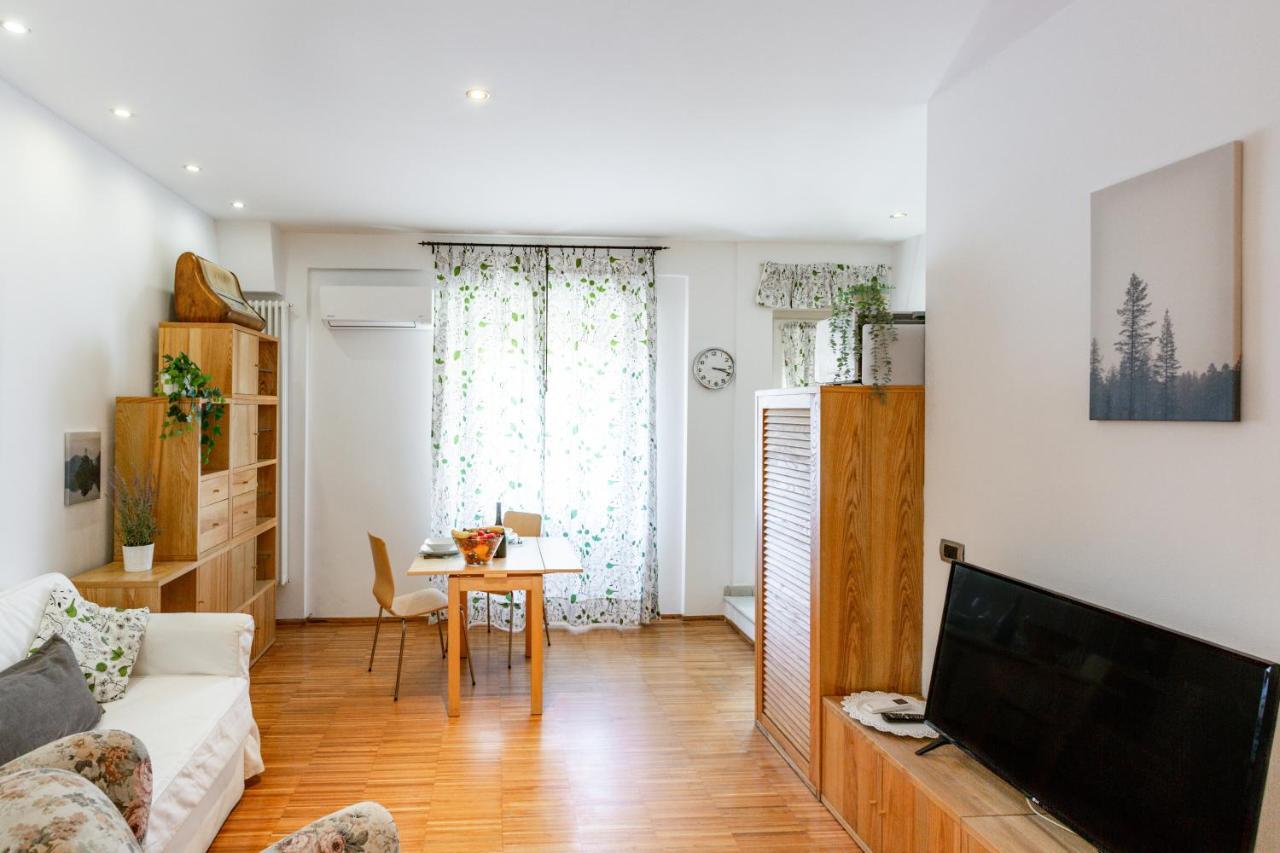 Ponte Solferino Bright & Cozy Apartment بيزا المظهر الخارجي الصورة